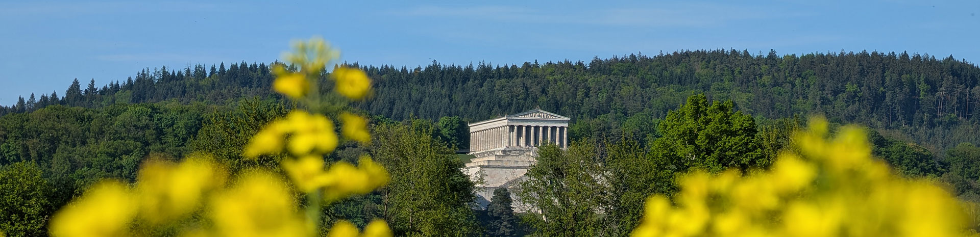 Webdesign f&uuml;r Ihren Ort & Region