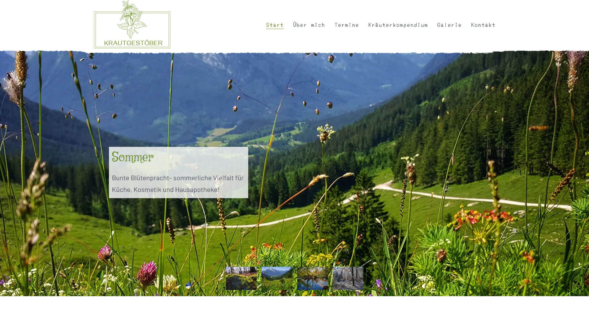 Ktautgestöber - Ramona Lehner