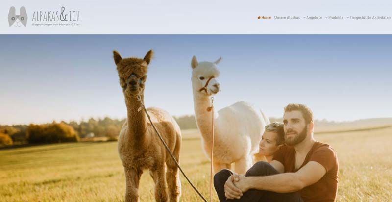 Alpakas & Ich